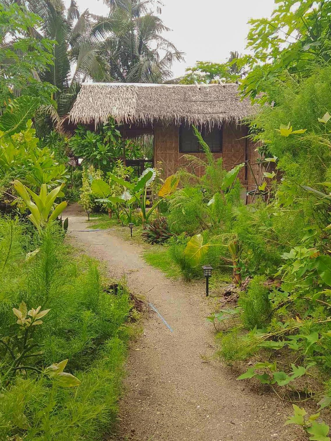 Bed and Breakfast Coleto Siargao à San Isidro  Extérieur photo