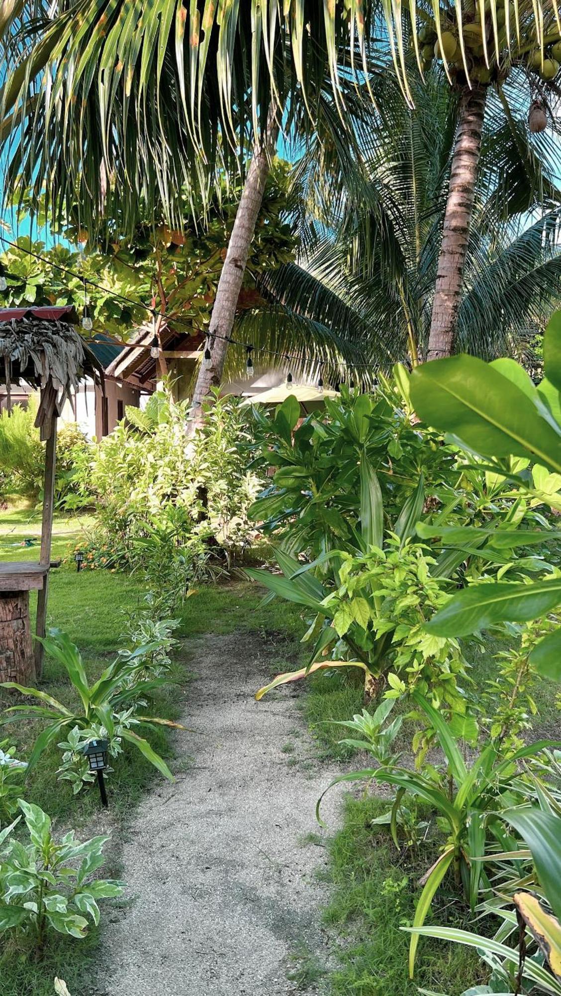 Bed and Breakfast Coleto Siargao à San Isidro  Extérieur photo