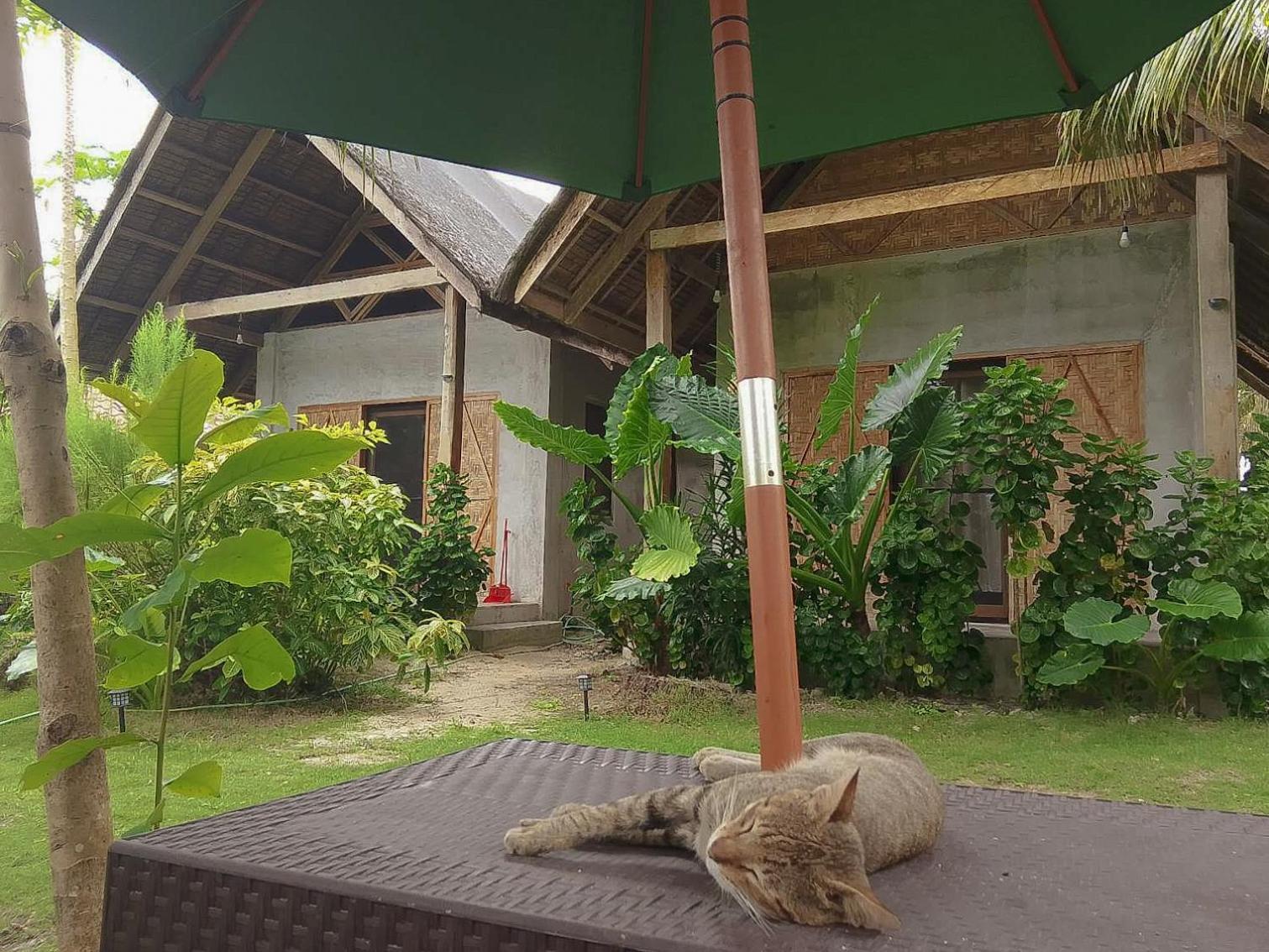 Bed and Breakfast Coleto Siargao à San Isidro  Extérieur photo