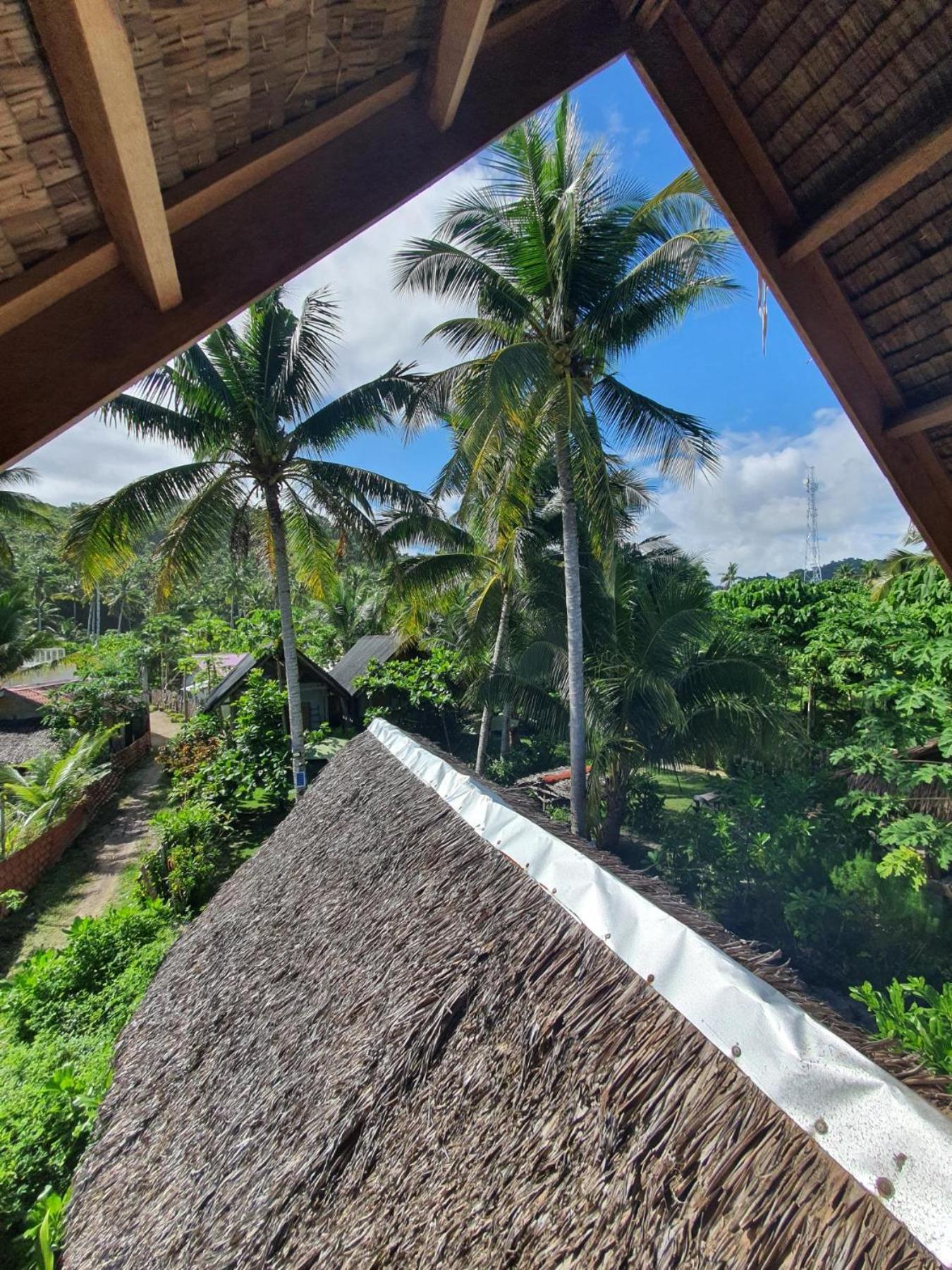 Bed and Breakfast Coleto Siargao à San Isidro  Extérieur photo