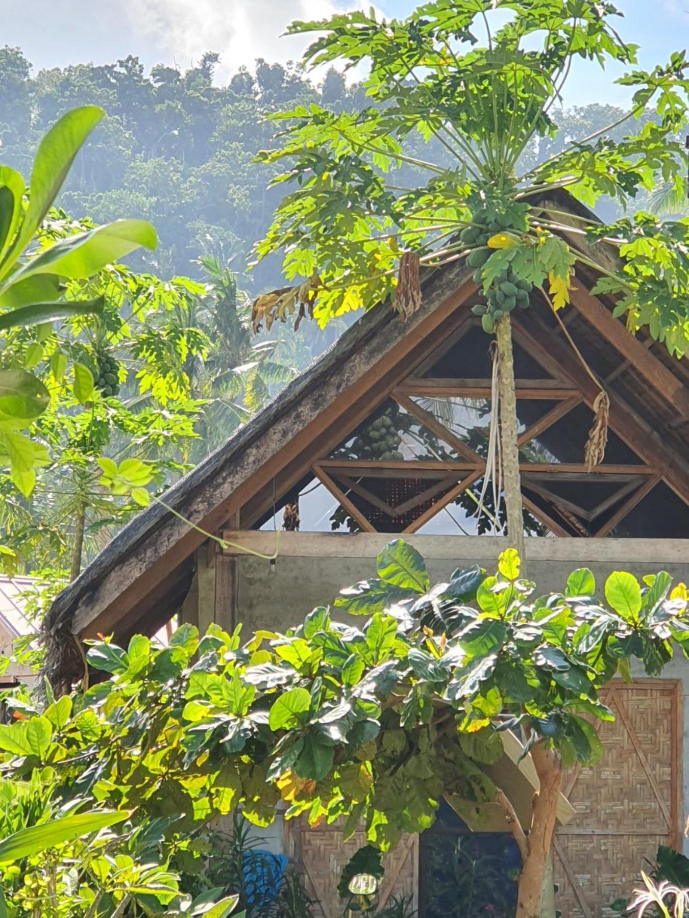 Bed and Breakfast Coleto Siargao à San Isidro  Extérieur photo